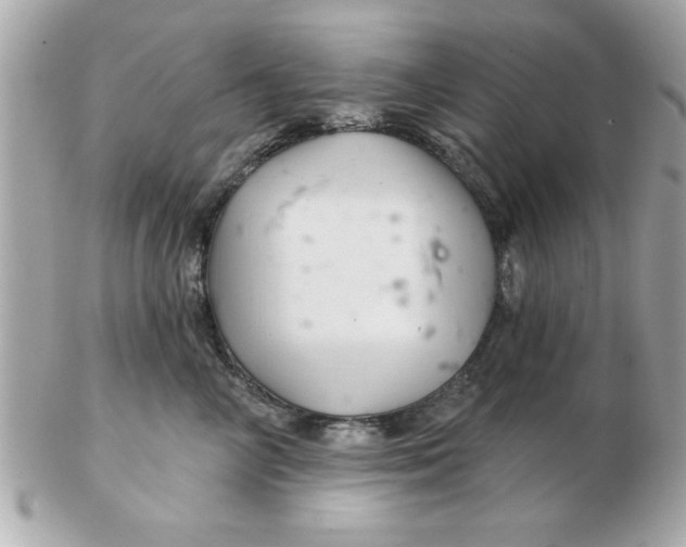 X0000102540714200808291842