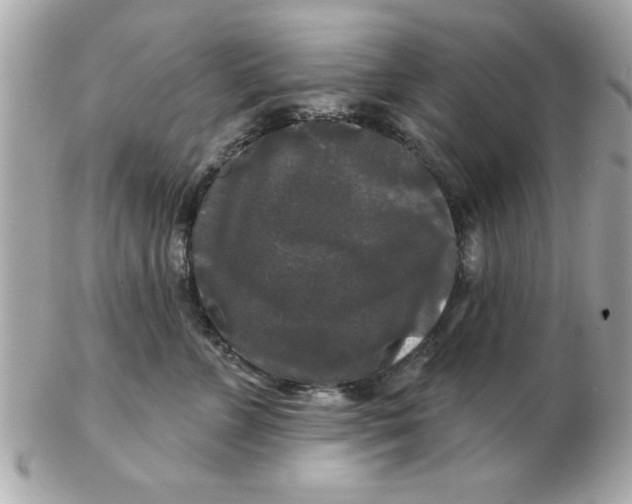 X0000102540715200808291842