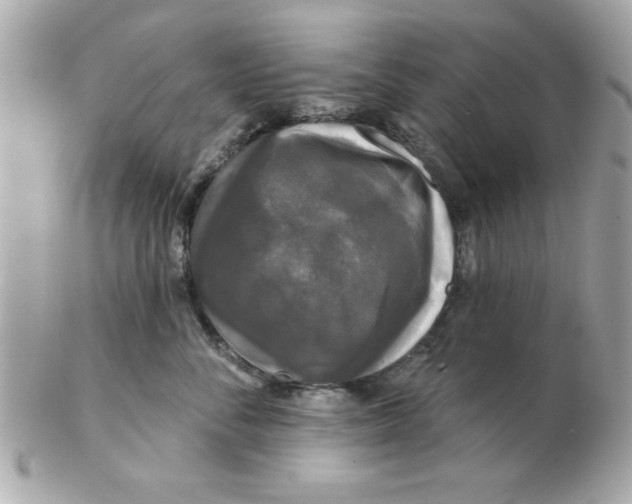 X0000102540716200808291842