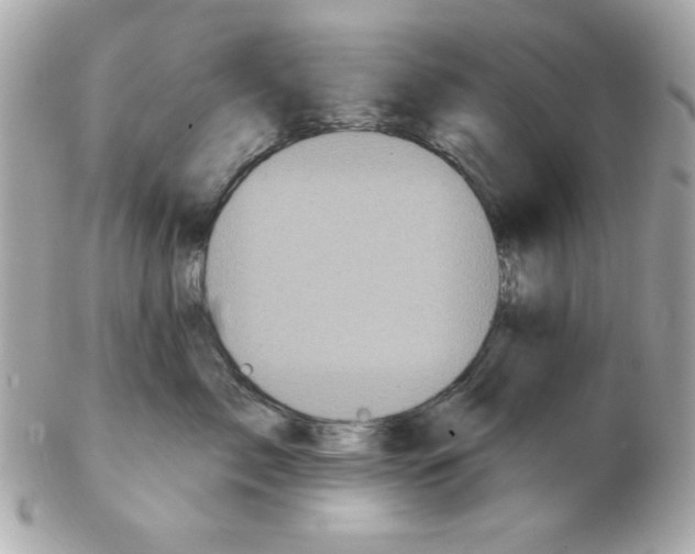 X0000102540717200808291842