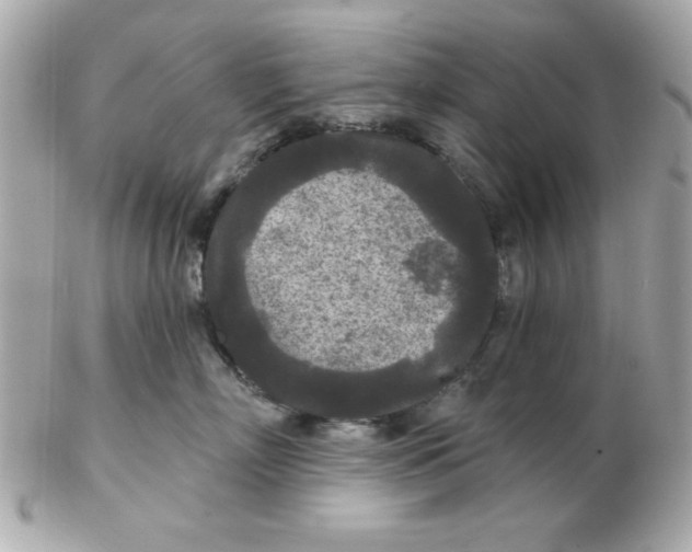 X0000102540718200808291842