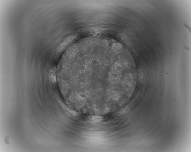 X0000102540719200808291842