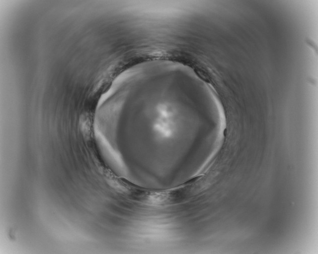 X0000102540720200808291842