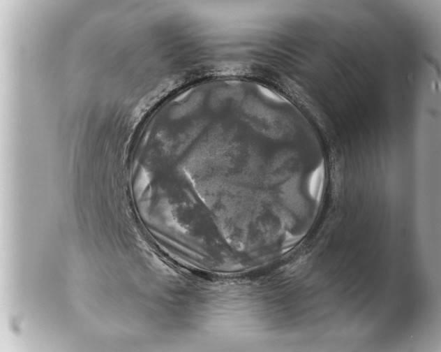 X0000102540721200808291841