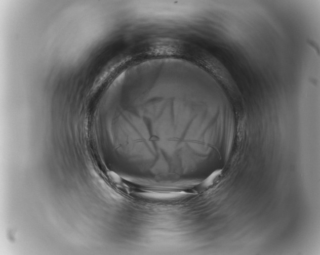 X0000102540722200808291841