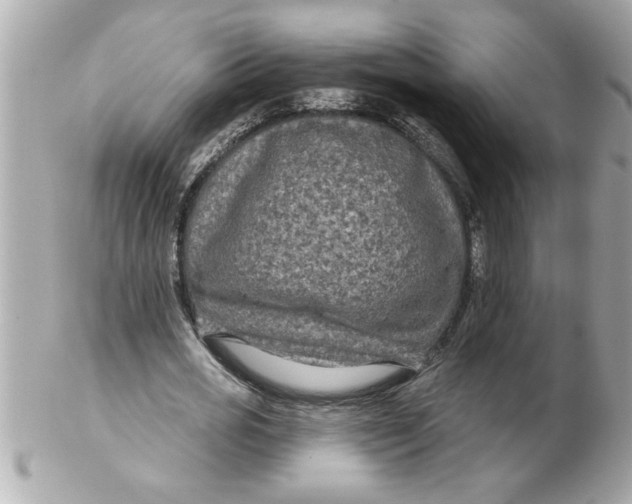 X0000102540725200808291841