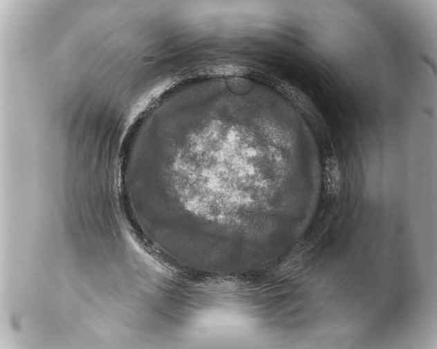 X0000102540726200808291841