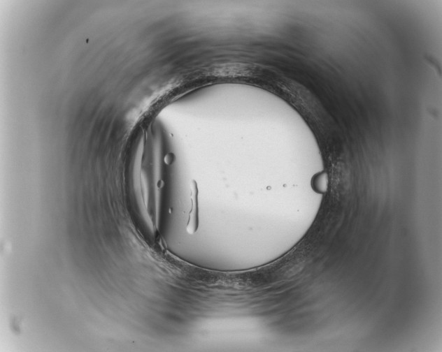 X0000102540727200808291841