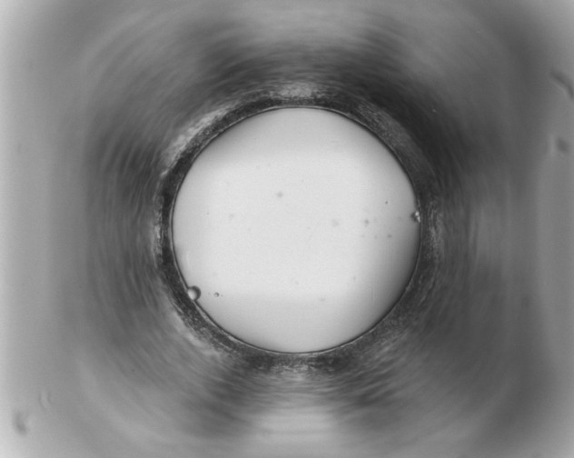 X0000102540728200808291841