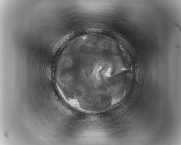 X0000102540729200808291841