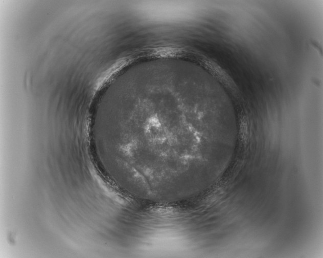 X0000102540730200808291841