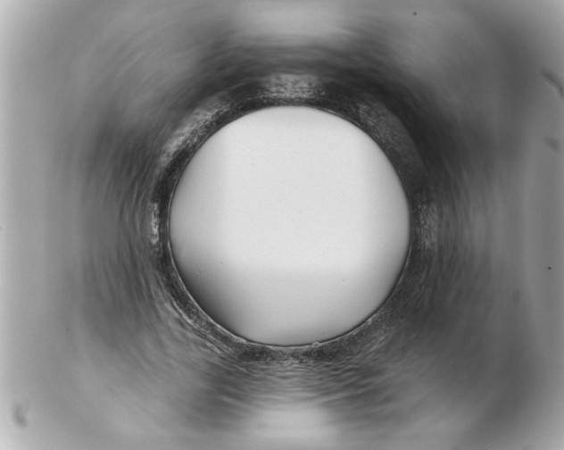 X0000102540731200808291841