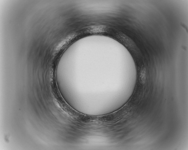 X0000102540732200808291841