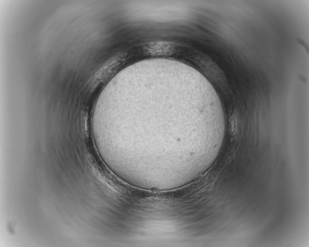 X0000102540733200808291841