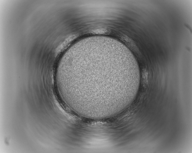 X0000102540734200808291841