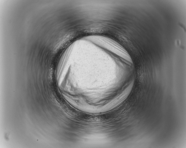 X0000102540735200808291841