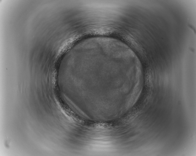 X0000102540736200808291841