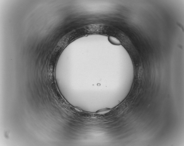 X0000102540737200808291841