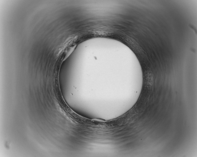 X0000102540738200808291841