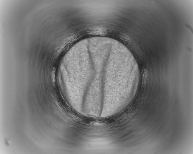 X0000102540739200808291841