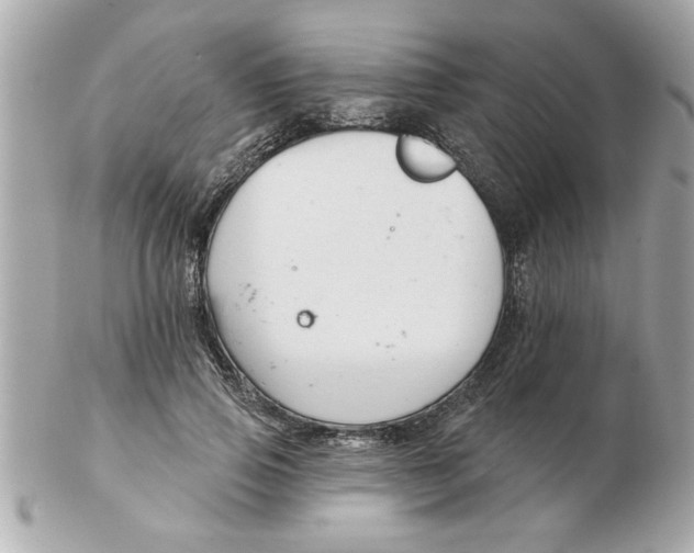 X0000102540741200808291841