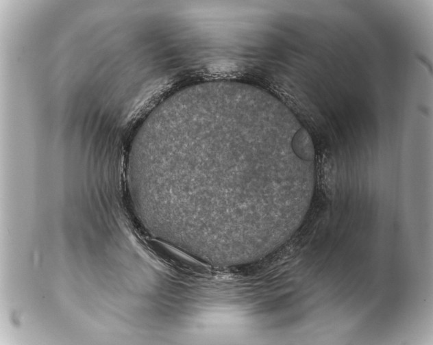 X0000102540742200808291841