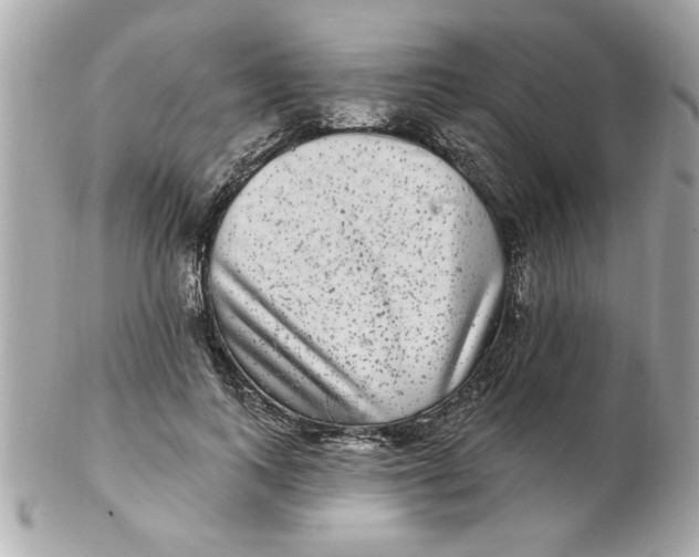 X0000102540743200808291841