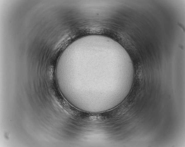 X0000102540744200808291841