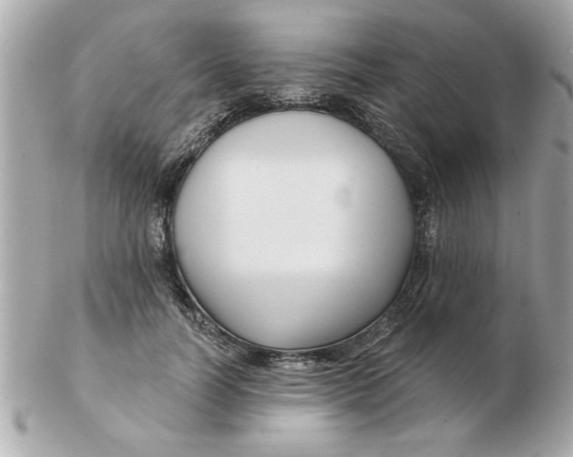 X0000102540746200808291841