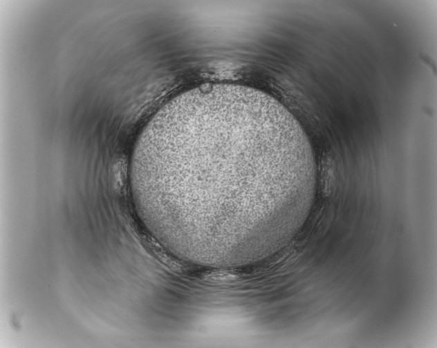 X0000102540747200808291841