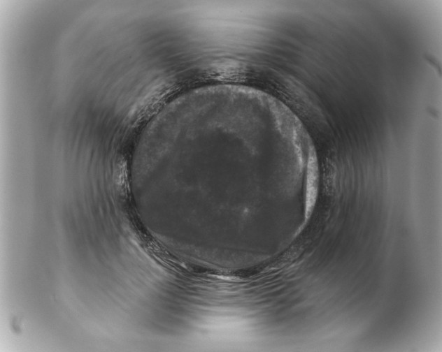 X0000102540748200808291841