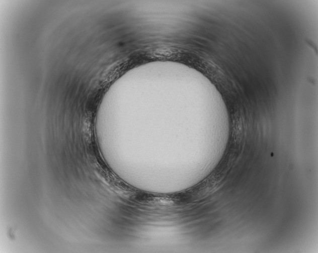 X0000102540749200808291841