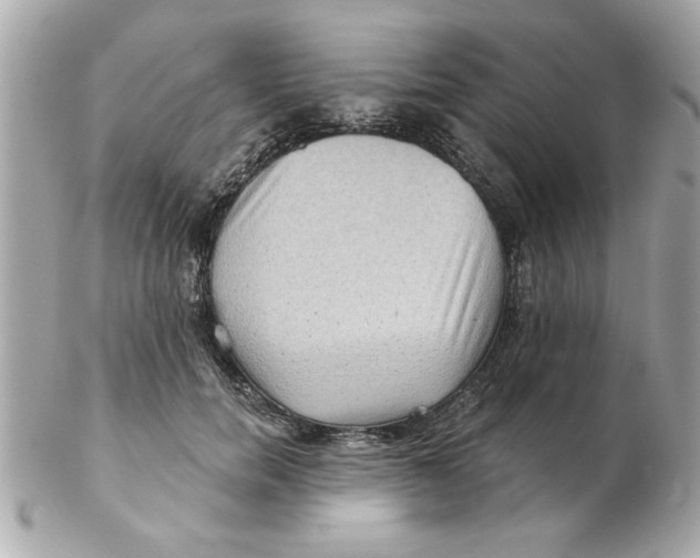 X0000102540750200808291841