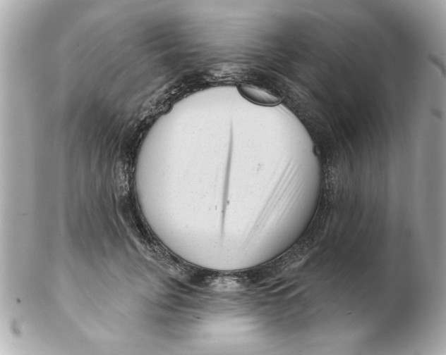 X0000102540751200808291841