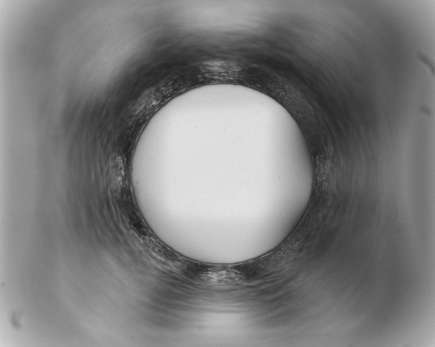 X0000102540752200808291841