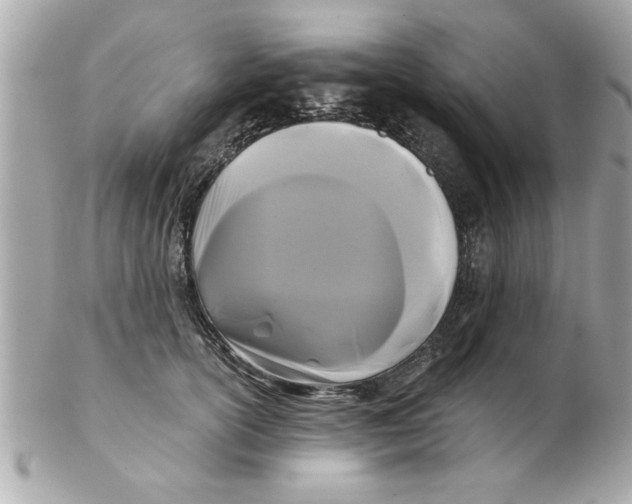 X0000102540754200808291842