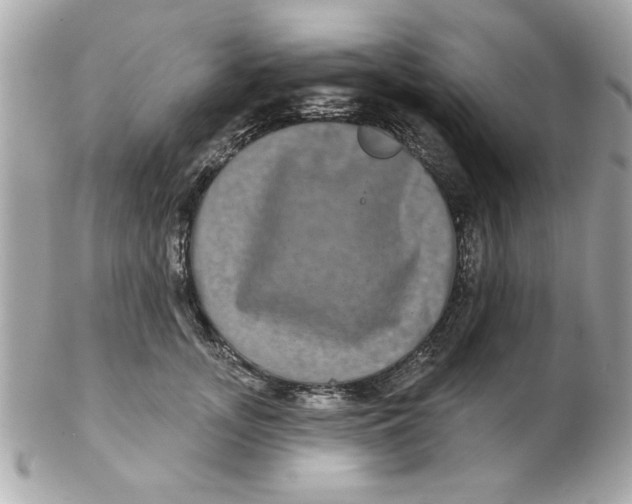 X0000102540755200808291842