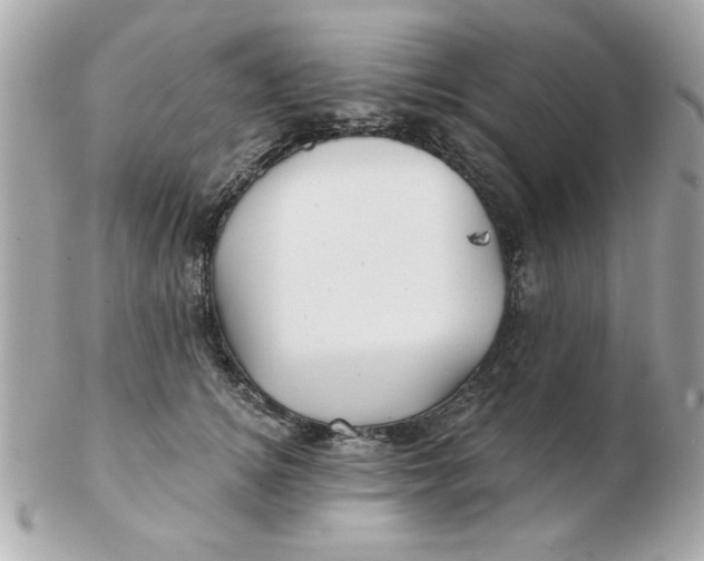 X0000102540756200808291842