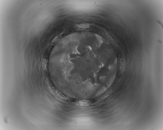 X0000102540758200808291842