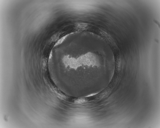 X0000102540759200808291842