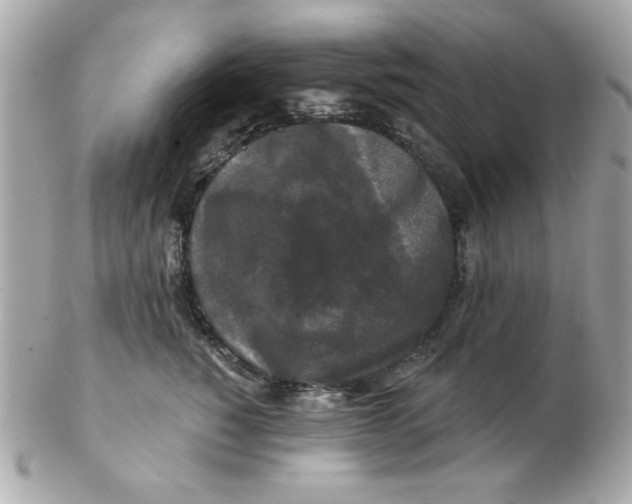 X0000102540760200808291842