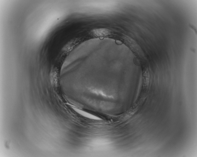 X0000102540762200808291842