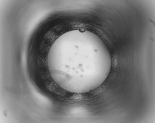 X0000102540764200808291842