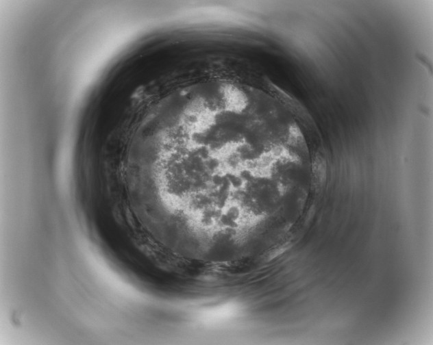 X0000102540765200808291842