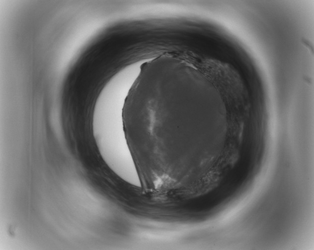 X0000102540766200808291842