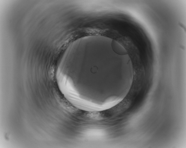 X0000102540767200808291842