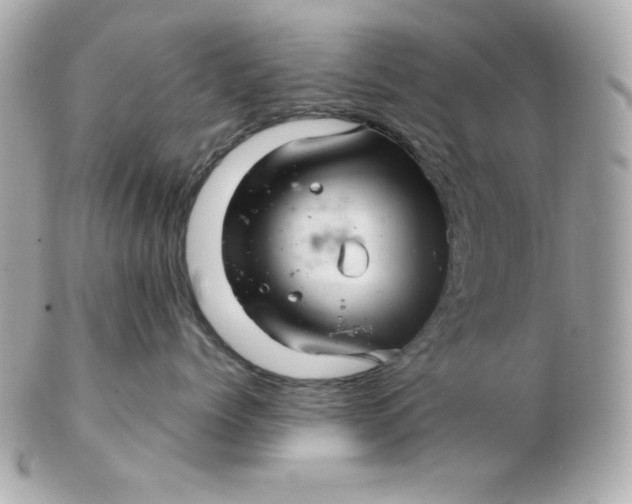 X0000102540768200808291842