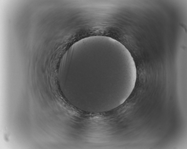 X0000102540769200808291841