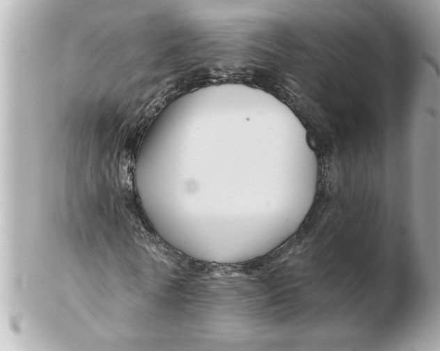 X0000102540770200808291841