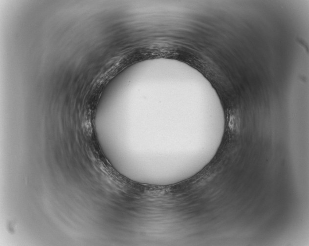 X0000102540771200808291841